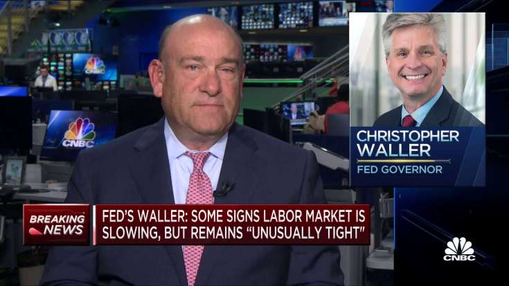 Fed Governor Christopher Waller: Officials can 'wait, watch and see' before acting on interest rates